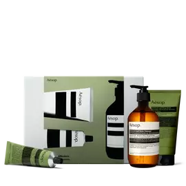 Una botella ambar con dispensador y dos tubos verdes, uno
dispuesto en horizontal, se presentan ante una caja de Aesop en verde oliva
y gris plateado.