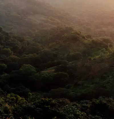How to use Silently, Hwyl Eau de Parfum