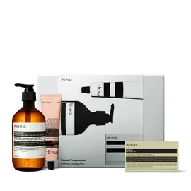 Una botella ambar con dispensador, un tubo rosa y un jabon en caja dispuestos ante una caja plateada Aesop Trusted Companions sobre fondo blanco.