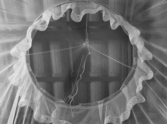 Under the microscope: Vitamin E Image