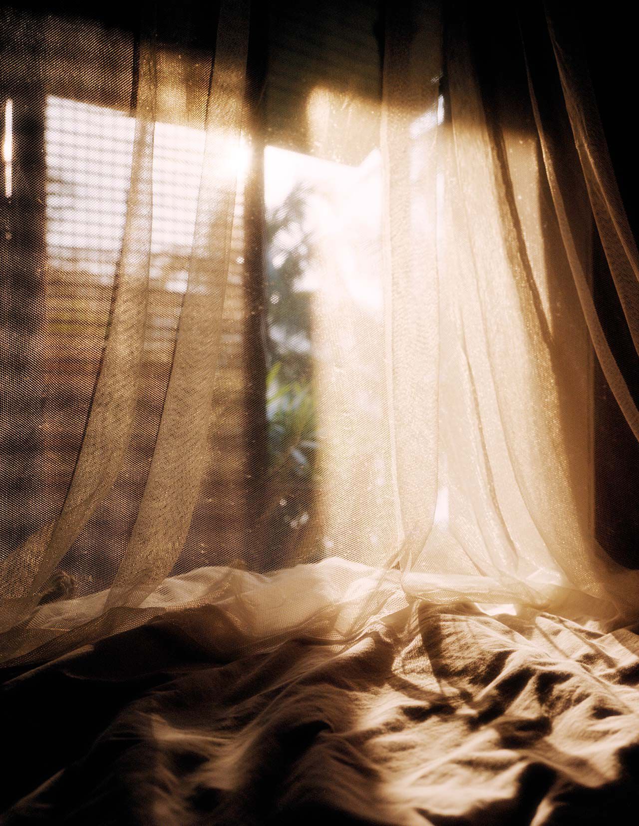 Cortinas vaporosas, dispuestas sobre una tela arrugada junto a una ventana iluminada por el sol, revelan tonos beige calidos, sombras suaves y pliegues translucidos.