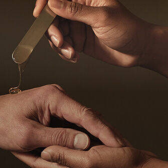 Sugerencias Estacionales