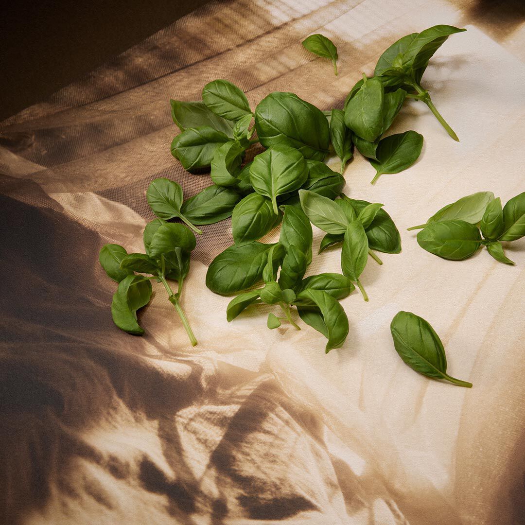 Hojas frescas de albahaca verde esparcidas sobre papel marron y crema doblado, con luz direccional que crea sombras nitidas y revela la textura de las hojas.