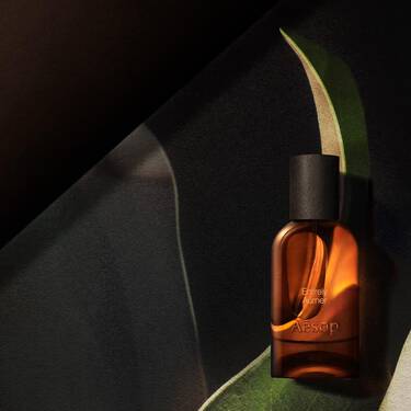 Una sola botella ambar de Aesop iluminada por un calido resplandor, enmarcada por formas curvas semejantes a hojas en tonos verde oscuro, crema y negro.