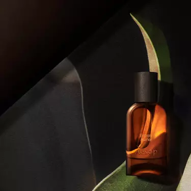 Una sola botella ambar de Aesop iluminada por un calido resplandor, enmarcada por formas curvas semejantes a hojas en tonos verde oscuro, crema y negro.