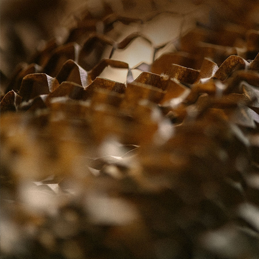 Banner superior de categoria Aesop