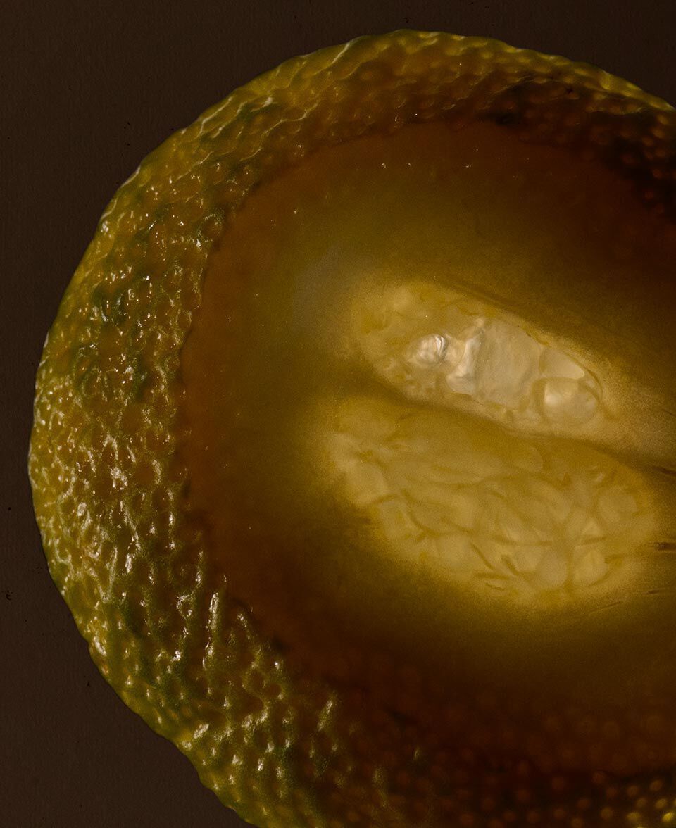 Vista macro de un citrico cortado por la mitad, con pulpa reluciente y cascara texturizada.
