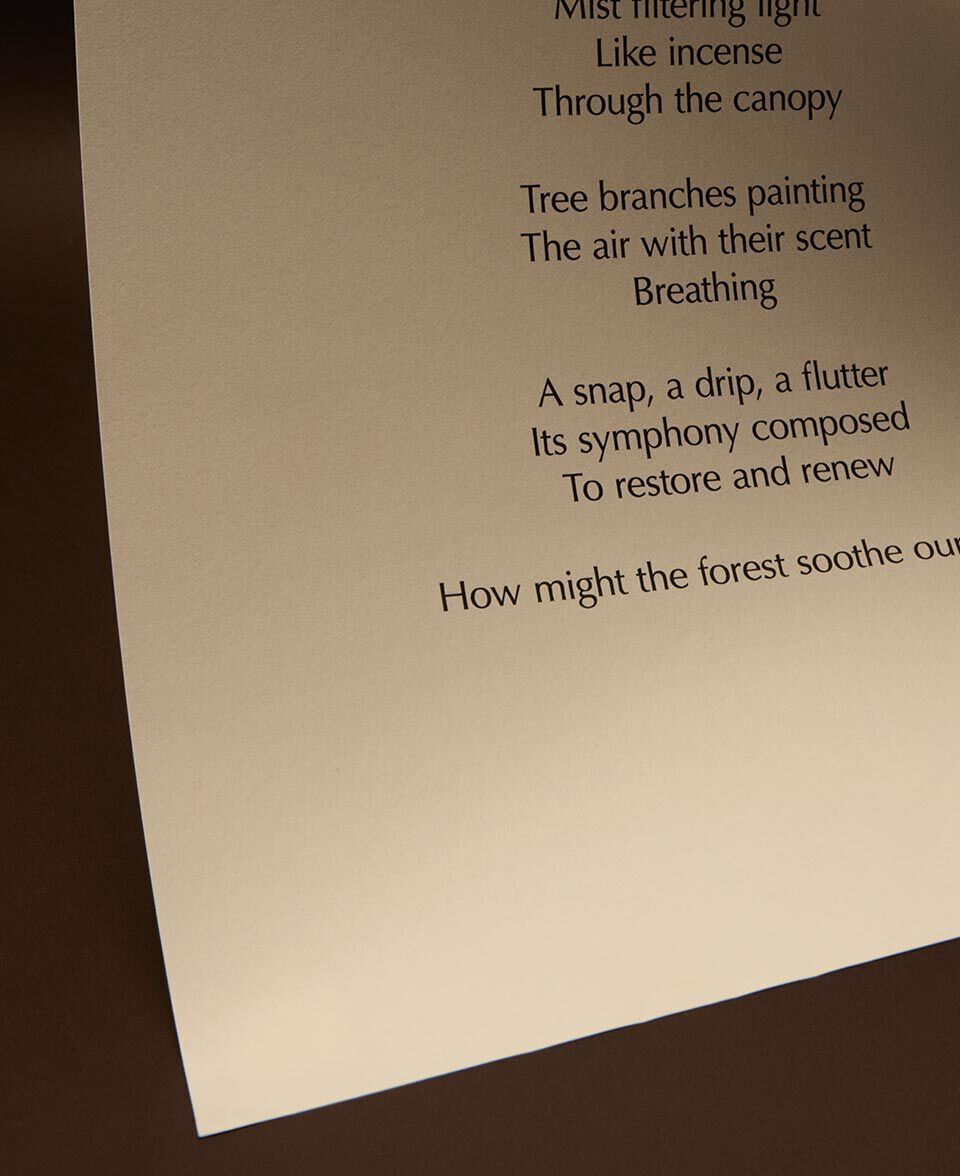 Hoja de papel color crema con texto de un poema, suavemente iluminada sobre tonos marron oscuro.
