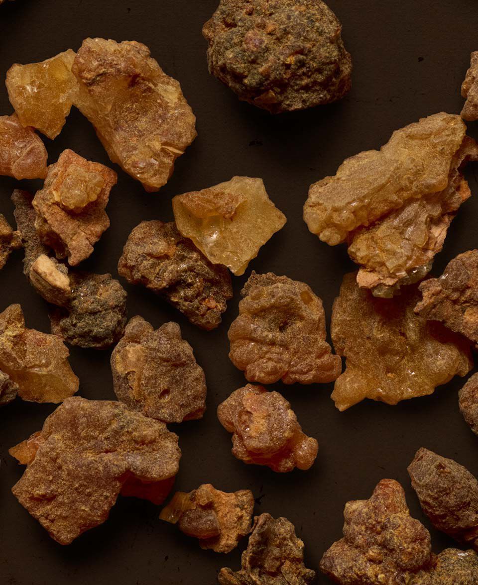 Primer plano de fragmentos de resina de ambar dispersos sobre una superficie marron oscuro.