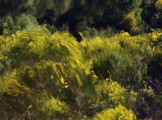 Othertopias on a plate Image