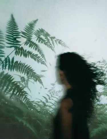Perfil difuminado de una persona de cabello oscuro entre helechos verdes, sobre un fondo de vidrio empanado y luz natural fria y difusa.