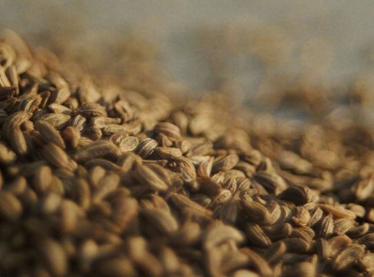 Vitamins in skin care Image