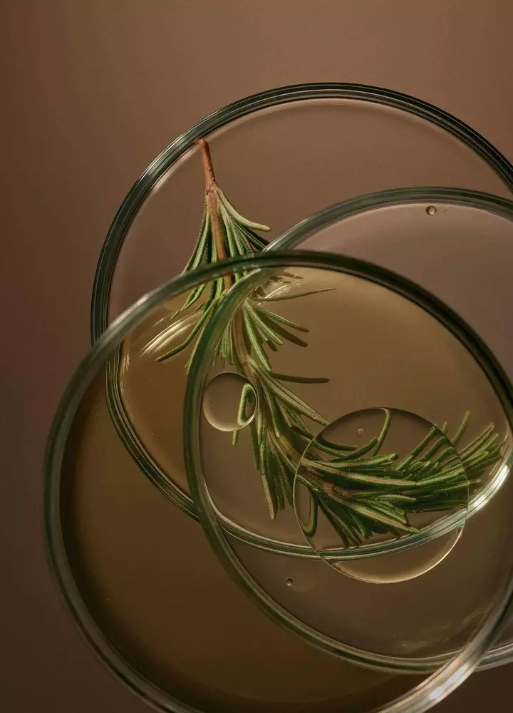 Aceites esenciales conocidos por calmar y revitalizar
